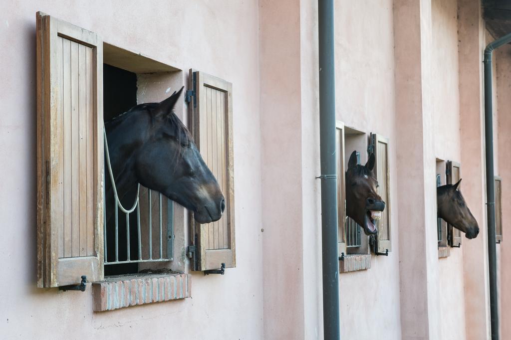 San Giacomo Horses & Agriturismo Arluno Exterior photo